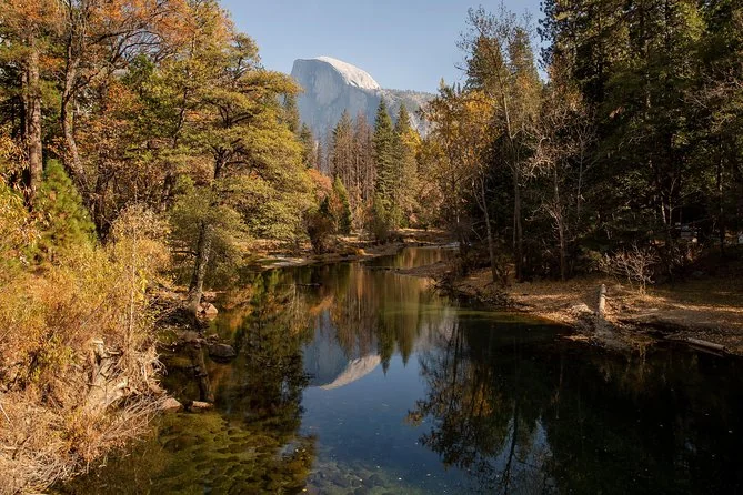 Yosemite Highlights Day Trip with Sequoia Walk