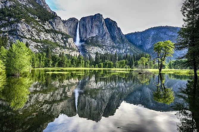 Yosemite Small-Group Tour by Mini-Coach