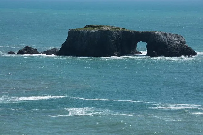 Redwoods, Bodega Bay & Sausalito Day Tour