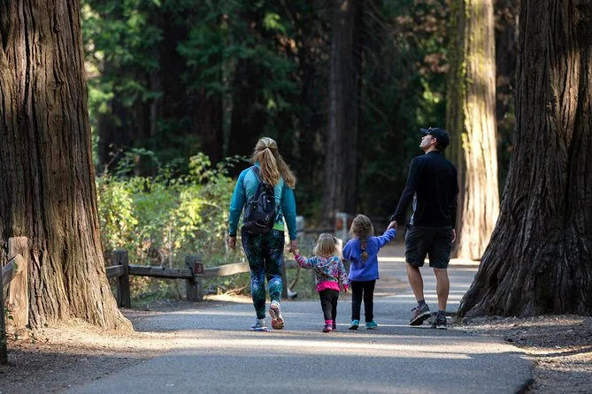 A family walking hand in hand along a paved path between giant sequoias