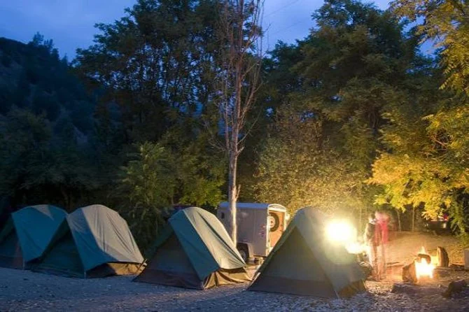 Green tents in a wooded campsite at dusk with a lantern glowing