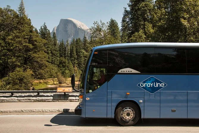 A tour coach parked on a road in Yosemite Valley with Half Dome behind the trees