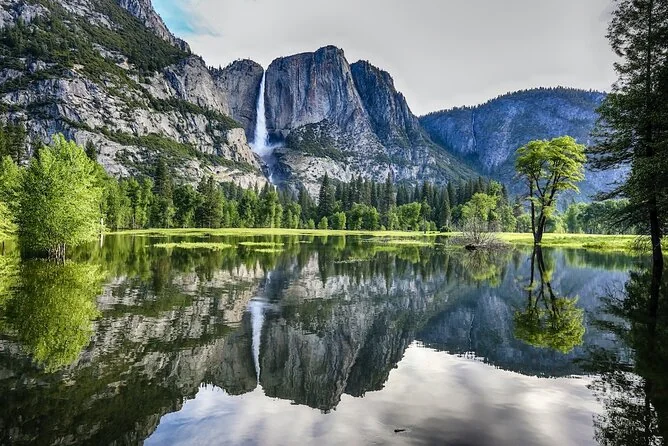 Yosemite Falls reflected in a still meadow pool in the Valley